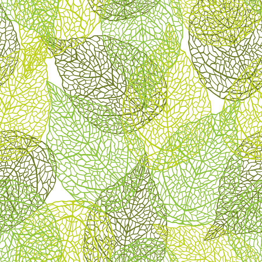 Beautiful illustration of leaves.