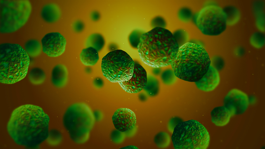 3D rendering of human immunity