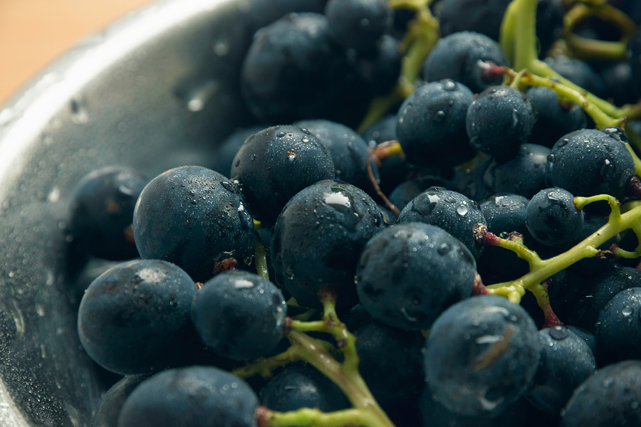 Fresh dark grapes in a bowl